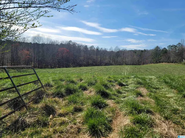 County Road 208, Muscadine, AL 36269