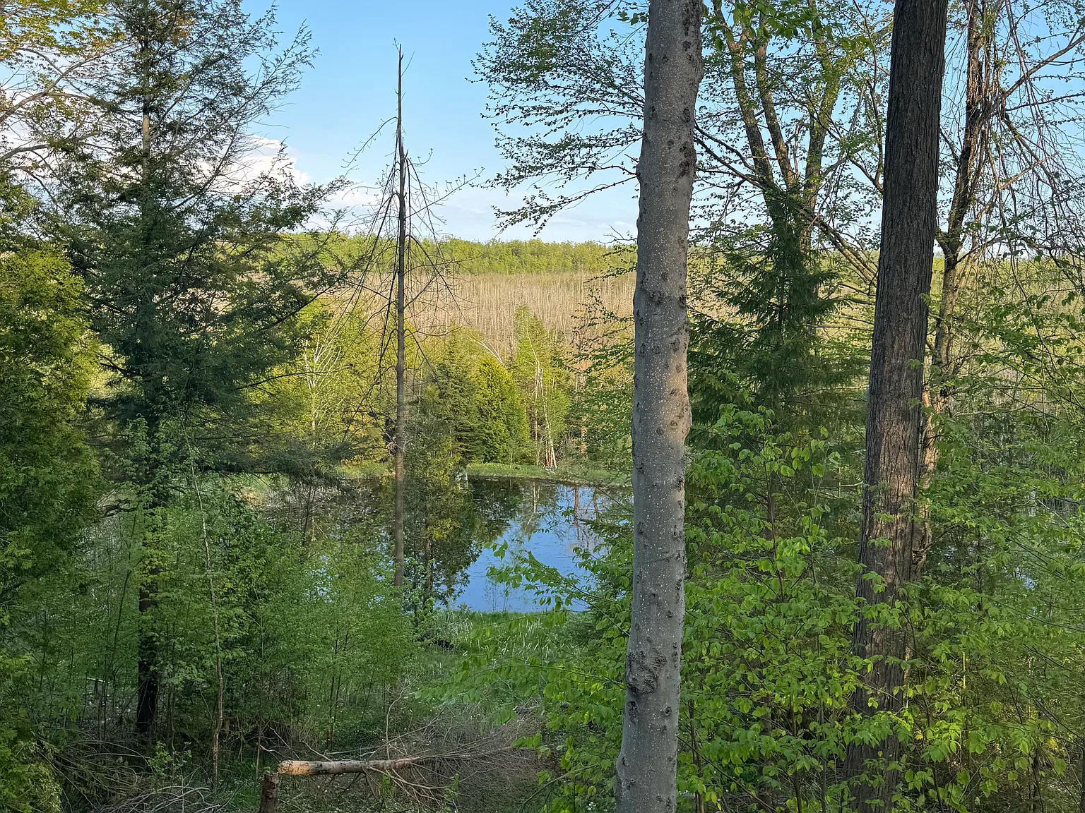 4 bed, 2027 sqft, $900 — Photo 4