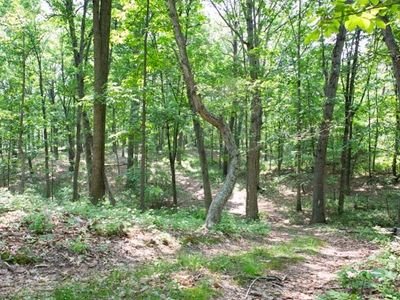 31 Acres Bloomer Springs Rd, McGaheysville, VA, 22840