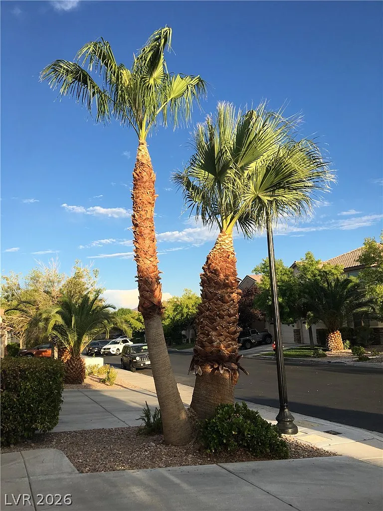 5 bed, 4.0 bath, 3096 sqft, $3,275 — Photo 3