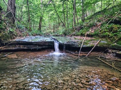 3 Sugarland Rd LOT 3, Ethridge, TN, 38456