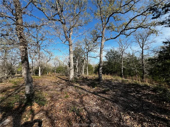 LOT 146 Deer Run Trl, Somerville, TX 77879