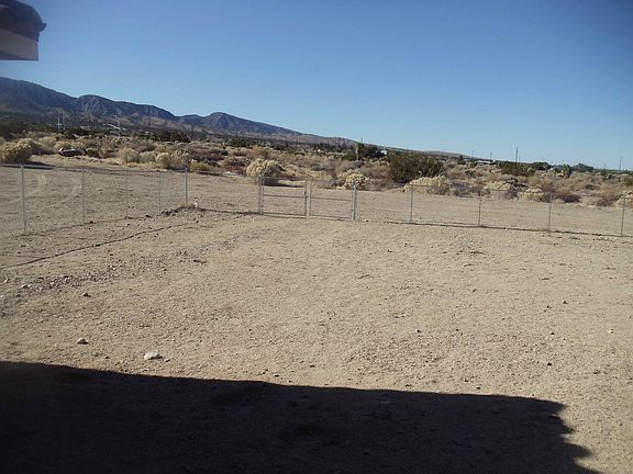 Fenced Back Yard