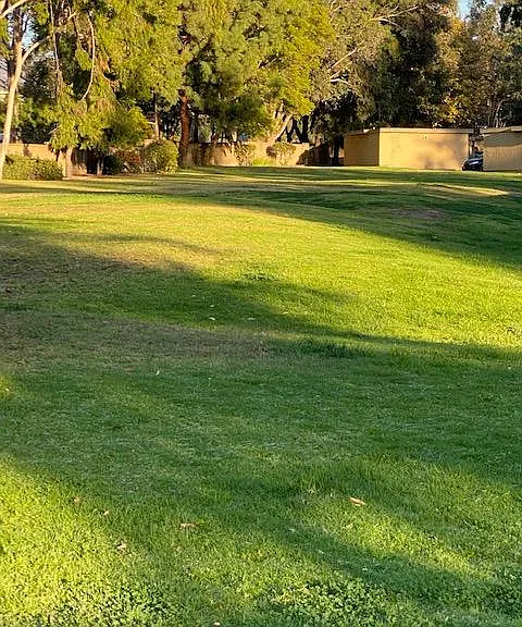 Gorgeous green space next to tennis courts.