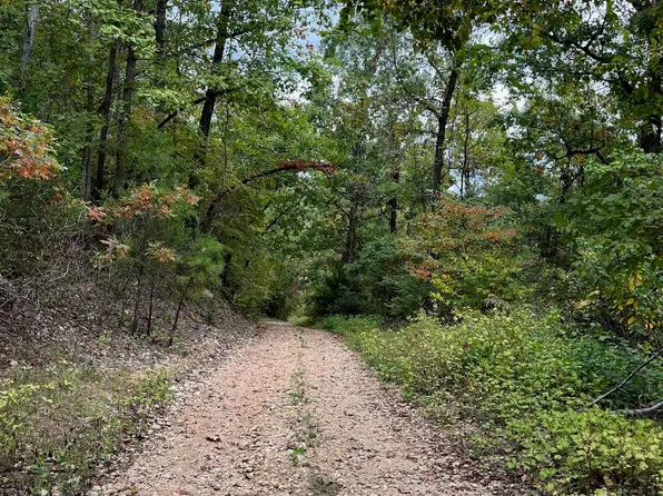 001-07980-002 Jimmy Creek Trl, Yellville, AR 72687