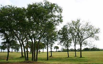 2nd image of 5855 Cox Canyon Dr Lot 29