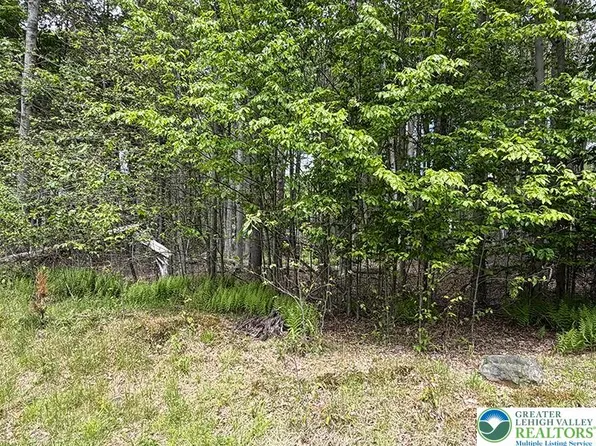 Winebago Dr, Pocono Lake, PA 18347