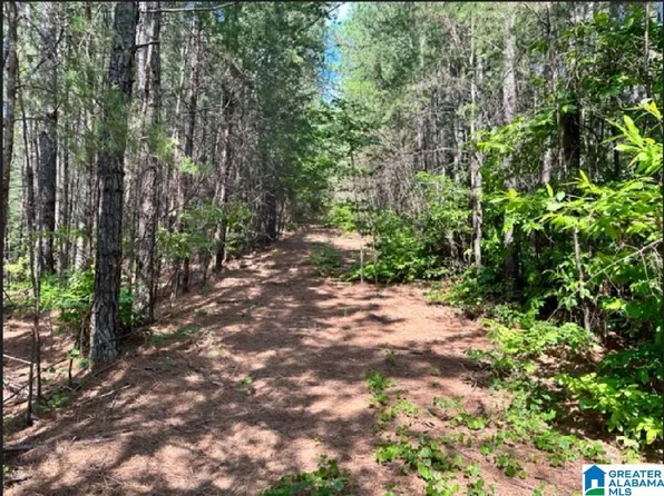 0 County Road 224 #1, Fruithurst, AL 36262
