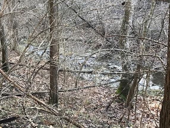 4th image of 18321 Marlowes Dr