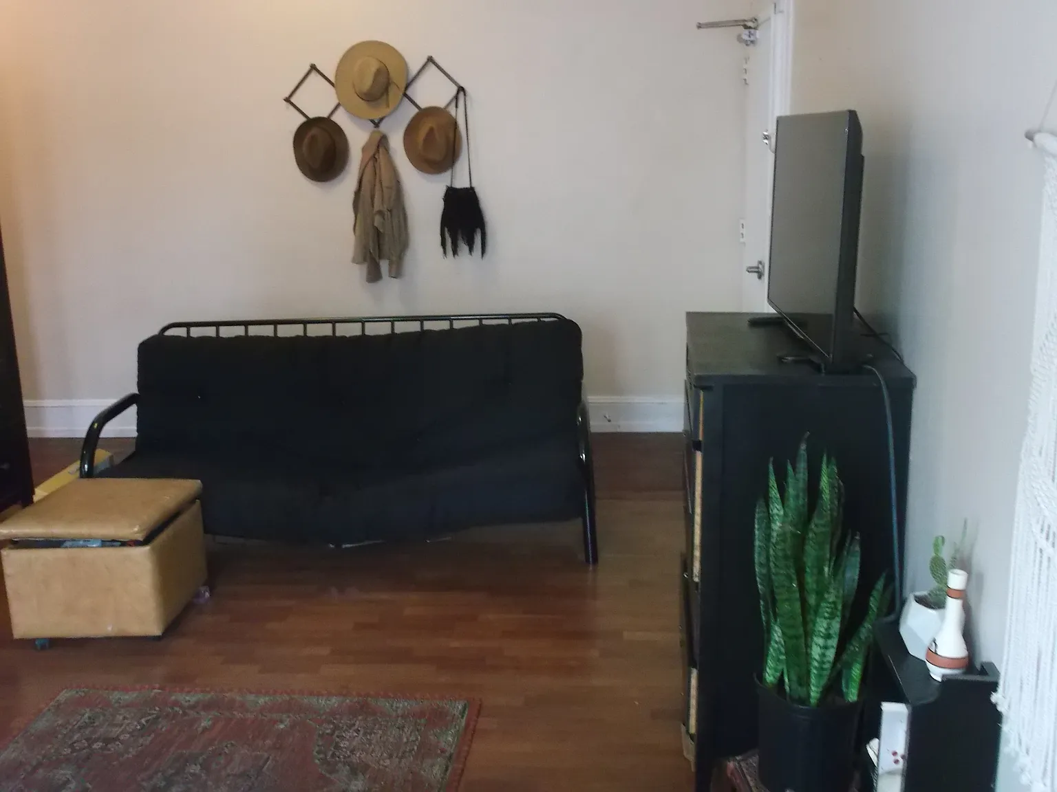 1 bed, 550 sqft, $1,095 — Photo 2
