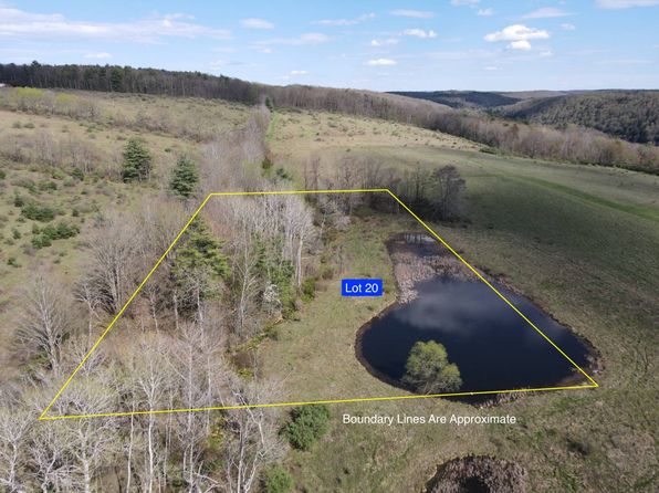 LOT 20 Eagle Vista Dr, Campbell, NY 14821