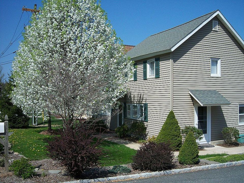 Pear Trees in Bloom April 2008