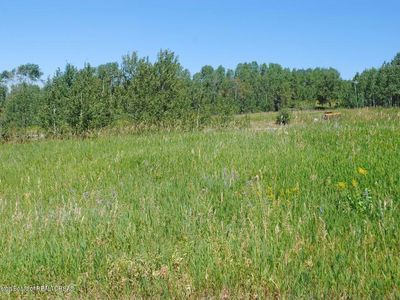 Prater Canyon Dr, Thayne, WY, 83127
