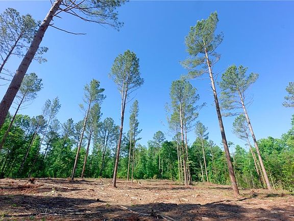 3rd image of 0 Carson Rd Lot 6