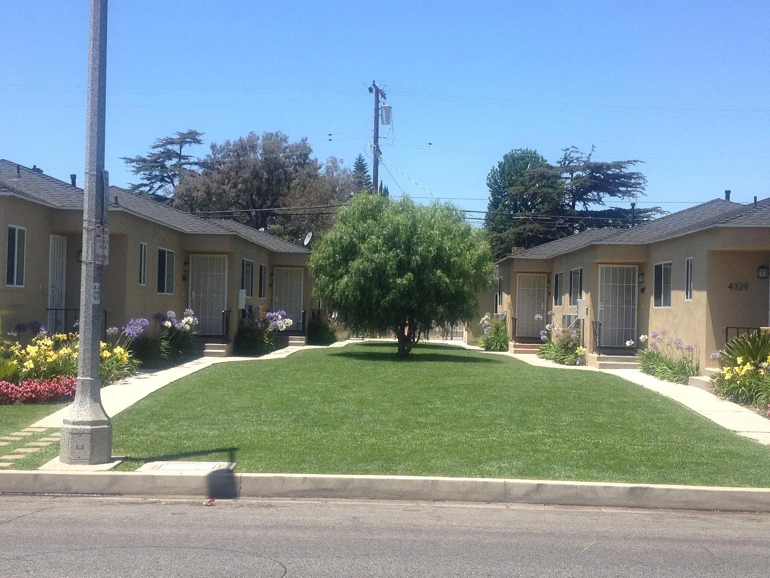1 bed, 600 sqft, $1,895 — Photo 1