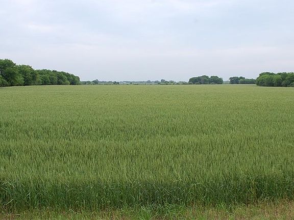 3rd image of Tract 1 Wallace Road