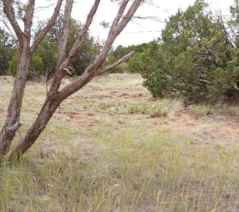 2nd image of 1774 Canyon Pl