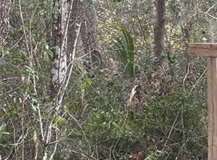 5670 West St LOT 5, De Leon Springs, FL 32130