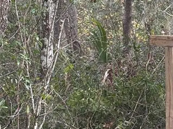 5670 West St Lot 5, De Leon Springs, FL 32130
