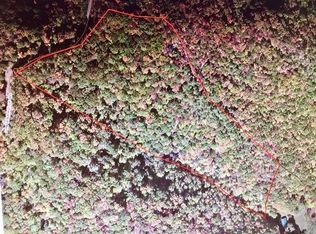 0 Ed Jenkins Rd, Bryson City, NC 28713