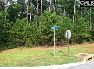 415 Lookover Pointe Dr, Chapin, SC 29036