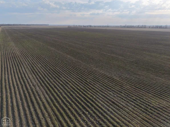 0 Highway 158 #0, Manila, AR 72442