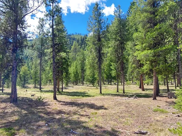 Nhn Deer Walk Way Parcel D, Darby, MT 59829