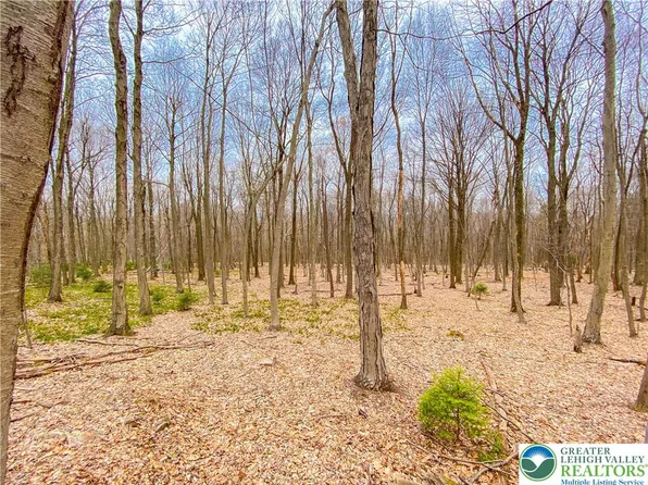 Hoffman Rd Lot 5, Lehighton, PA 18235