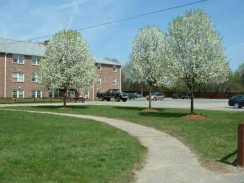 1st image of 14 Woodman Way APT 19
