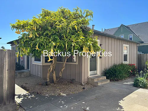 Archer St 155 Photo 1