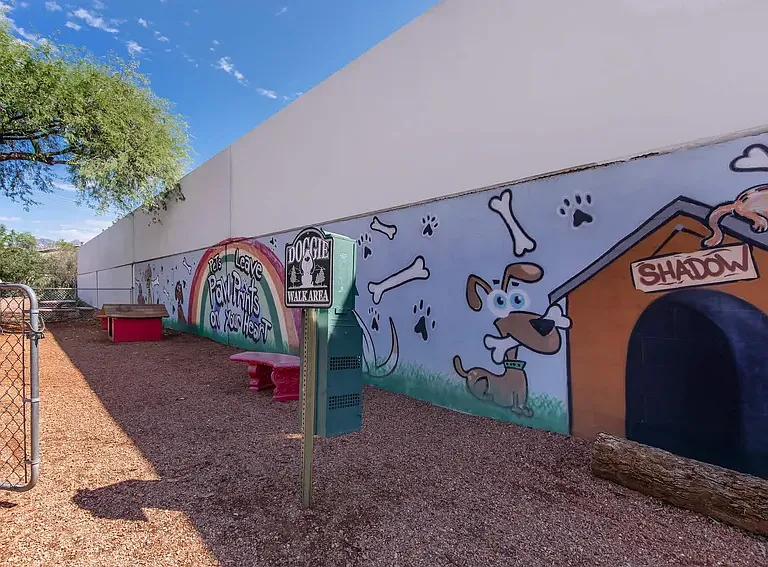 Shadowtree Apartment Homes — Photo 12
