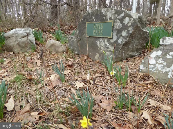 LOT 13 Fawn Dr, Springfield, WV 26763