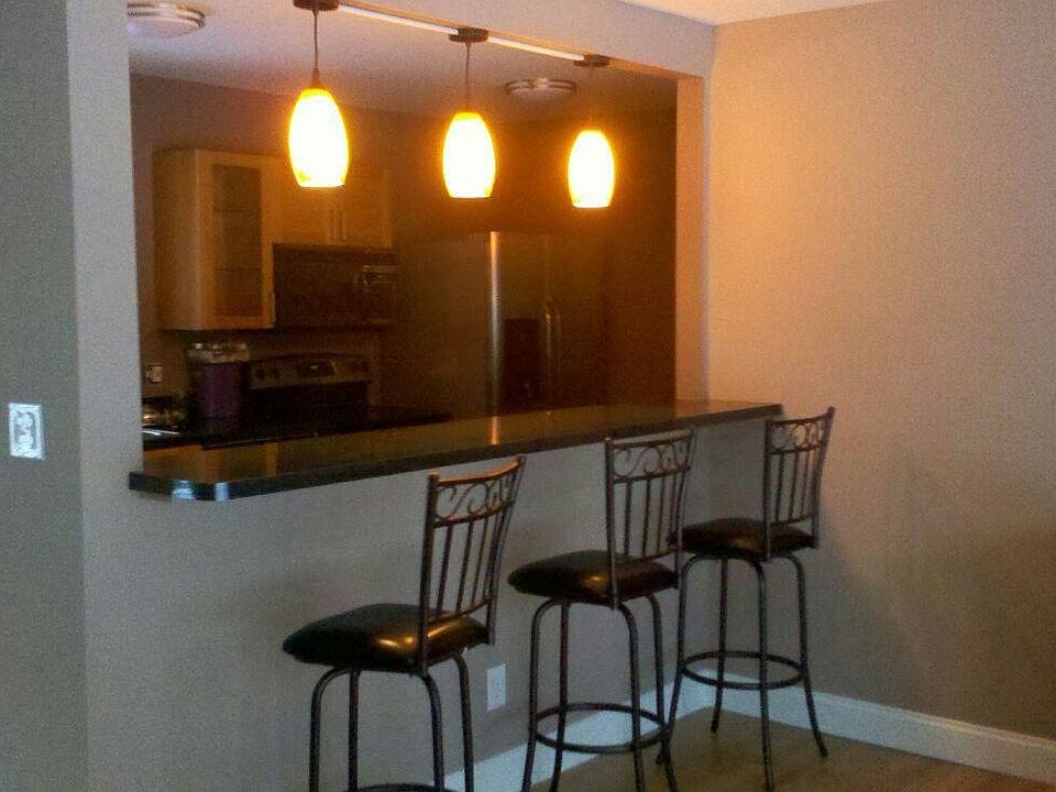 Kitchen and Bar area