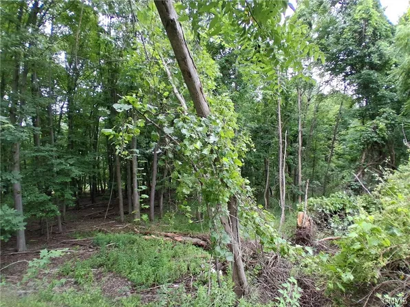 108 Skye Island Dr Lot 15, Endicott, NY 13760