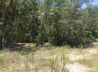 2906 Eastwood St, Inverness, FL 34452