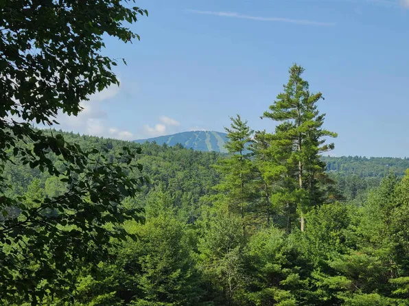 10 Little York Road, Winhall, VT 05340