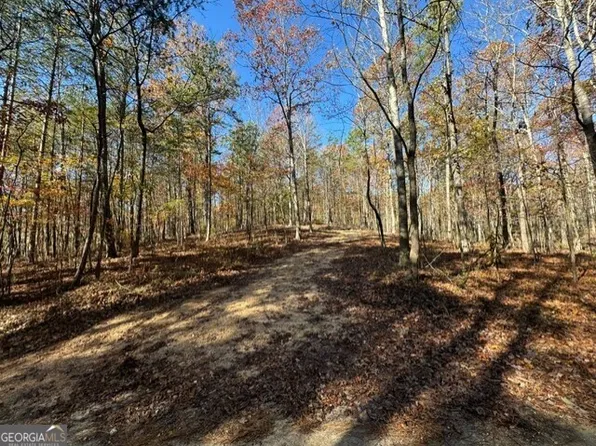 122 Ami Cemetery Rd, Menlo, GA 30731