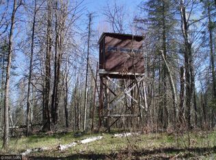 17018 White Spruce Rd, Finlayson, MN 55735