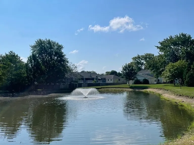 Outdoor pond near dog walk area
