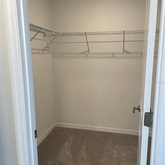 32077 Powderpuff Mimosa Dr — Photo 17