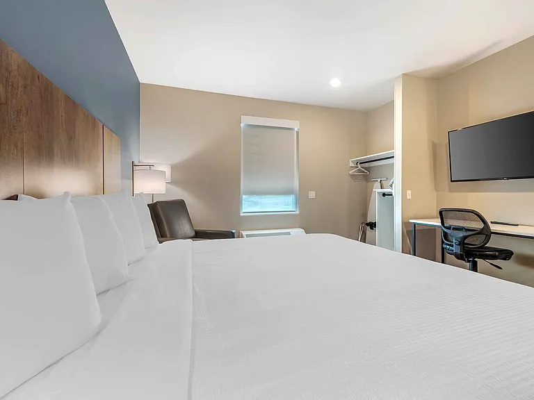 Studio Suite - 1 King Bed