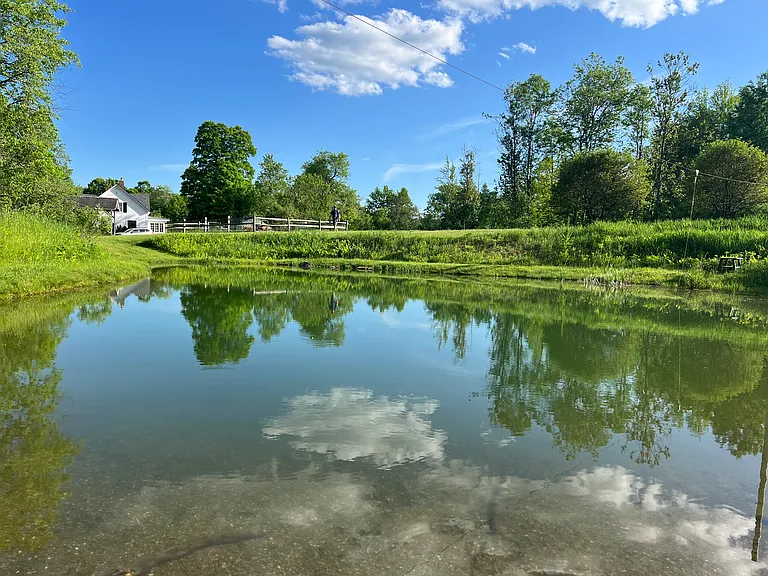 Spring fed pond - excellent place for a dip, relaxing and enjoying a book!