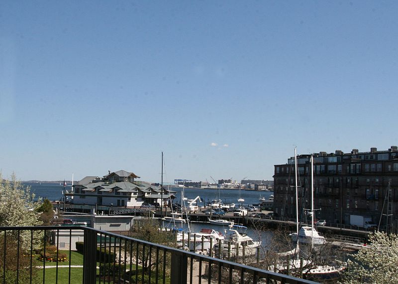 view from lr window 