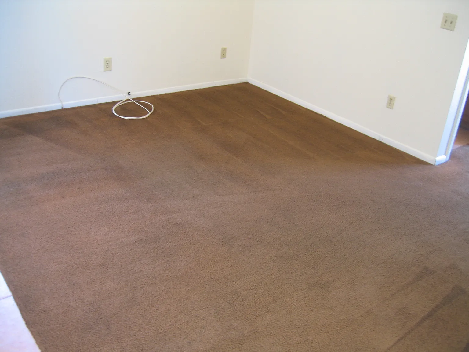 Studio, 505 sqft, $699 — Photo 4