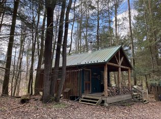 10481 Ryan Hollow Rd, Cohocton, NY 14826