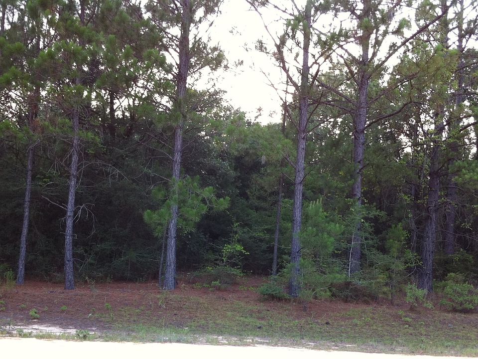 2nd image of Anderson Dr
