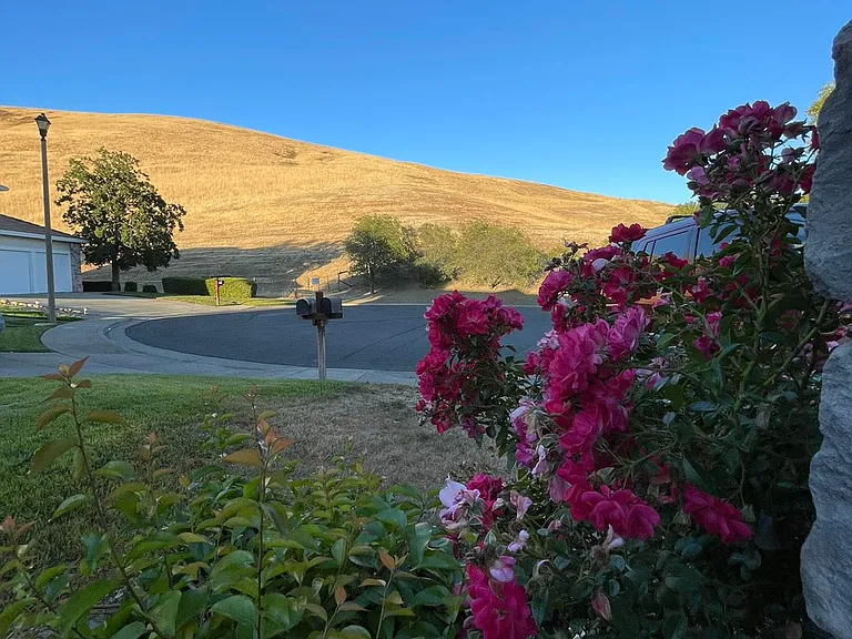 111 Pine Valley Ct — Photo 2