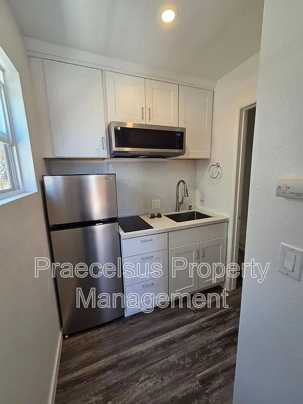 Studio, 1.0 bath, 250 sqft, $1,495 — Photo 4