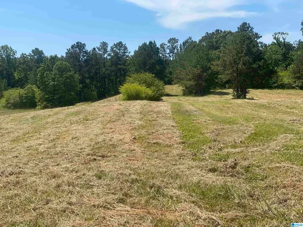 492 State Highway 13 Lot 9G, Helena, AL 35080