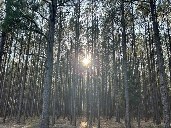 Z Z Grimes Rd, Laurel Hill, FL 32567